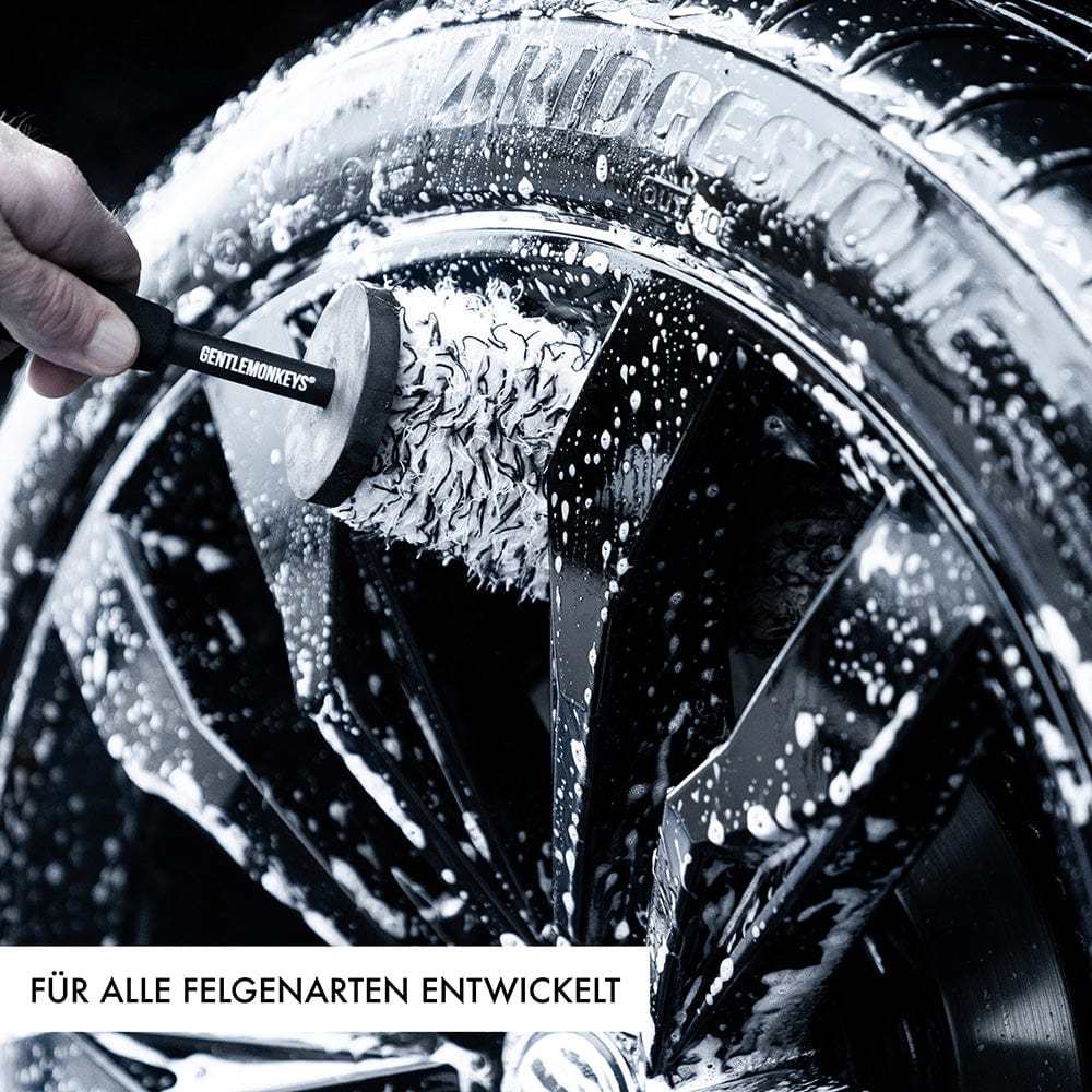 Profi-Felgenbürste im Einsatz – effektive Reinigung von Bremsstaub & Schmutz