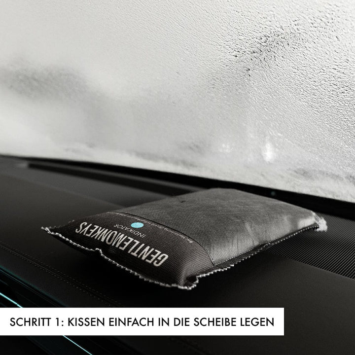 Entfeuchterkissen